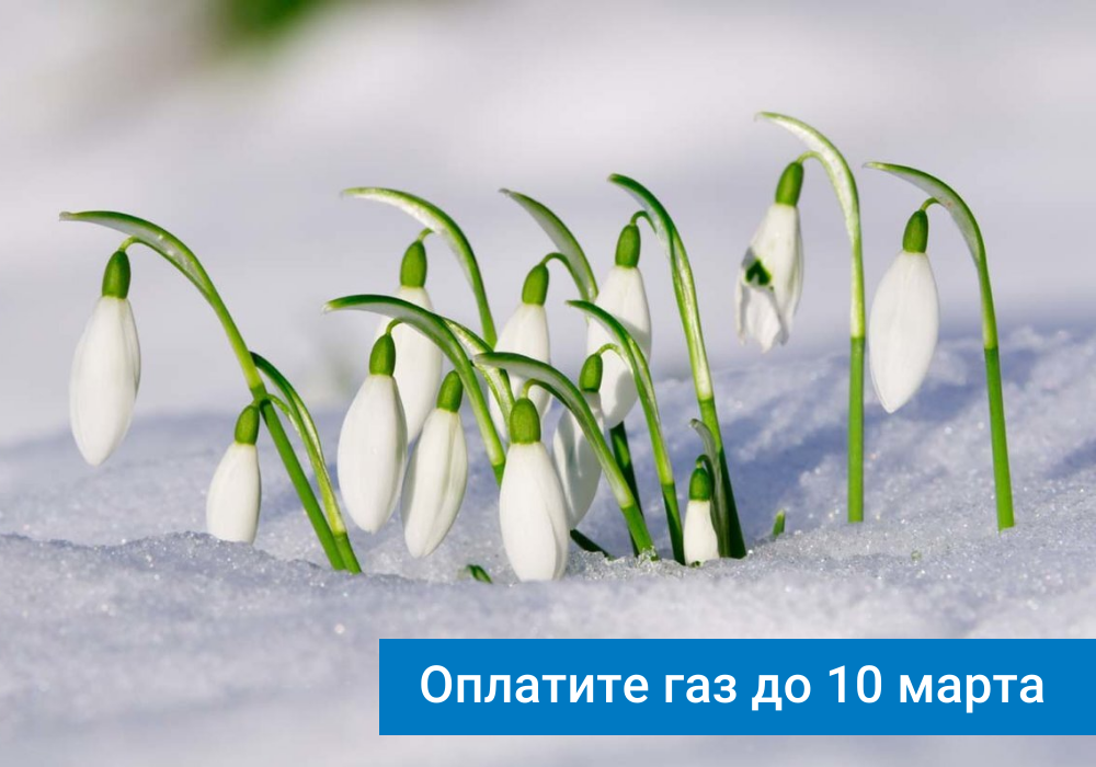 Оплатите газ до 10 марта